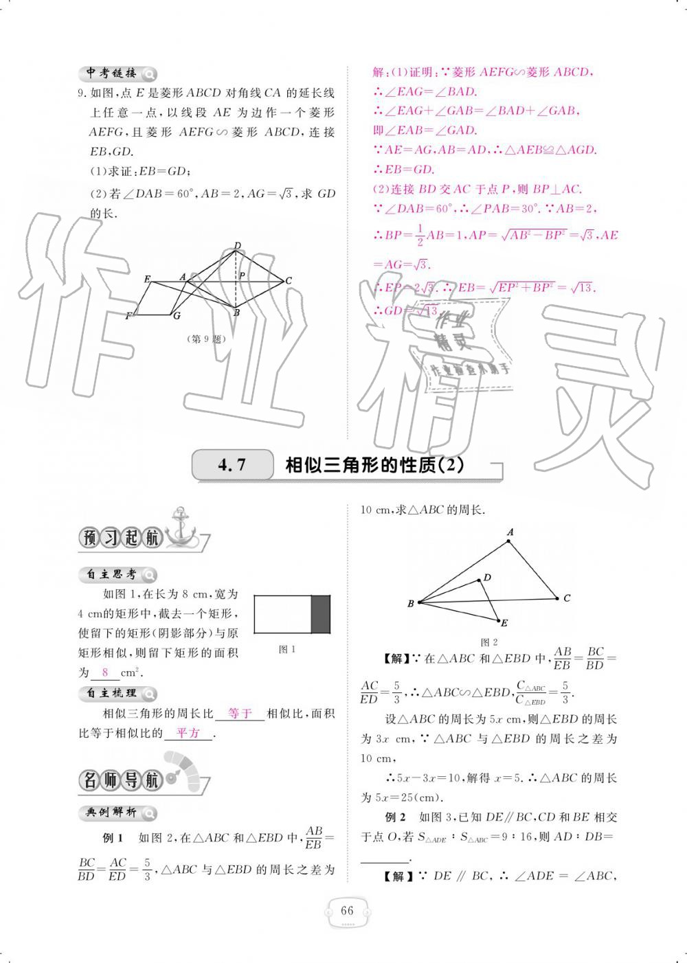 2019年領(lǐng)航新課標(biāo)練習(xí)冊(cè)九年級(jí)數(shù)學(xué)全一冊(cè)北師大版 參考答案第66頁