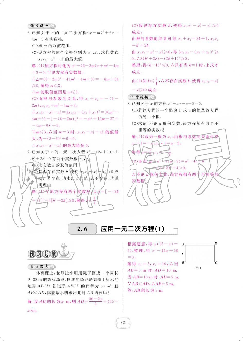 2019年領航新課標練習冊九年級數(shù)學全一冊北師大版 參考答案第30頁