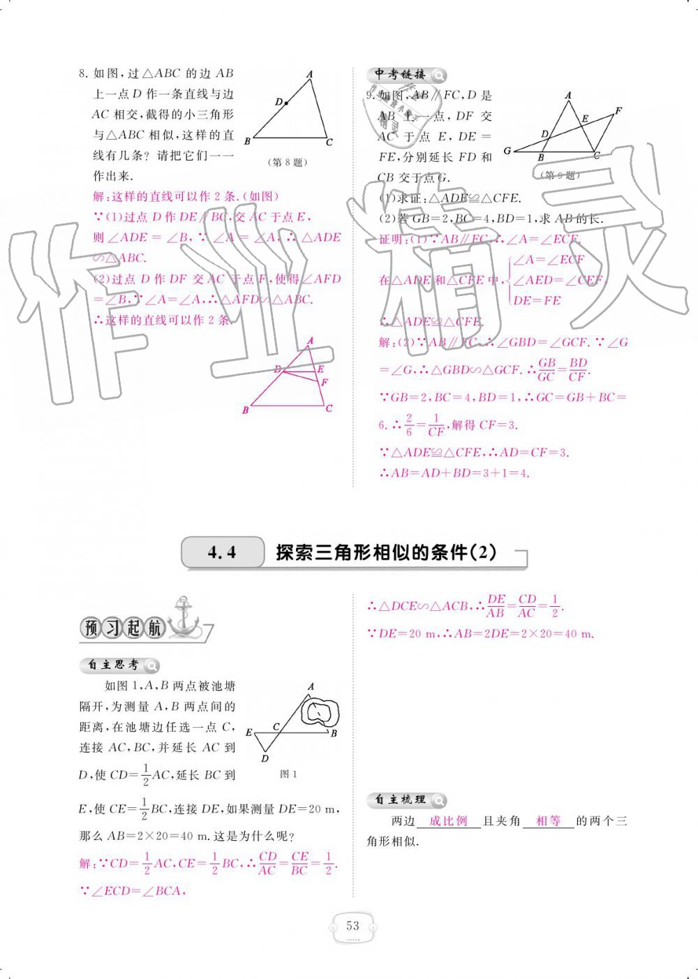 2019年領(lǐng)航新課標(biāo)練習(xí)冊(cè)九年級(jí)數(shù)學(xué)全一冊(cè)北師大版 參考答案第53頁