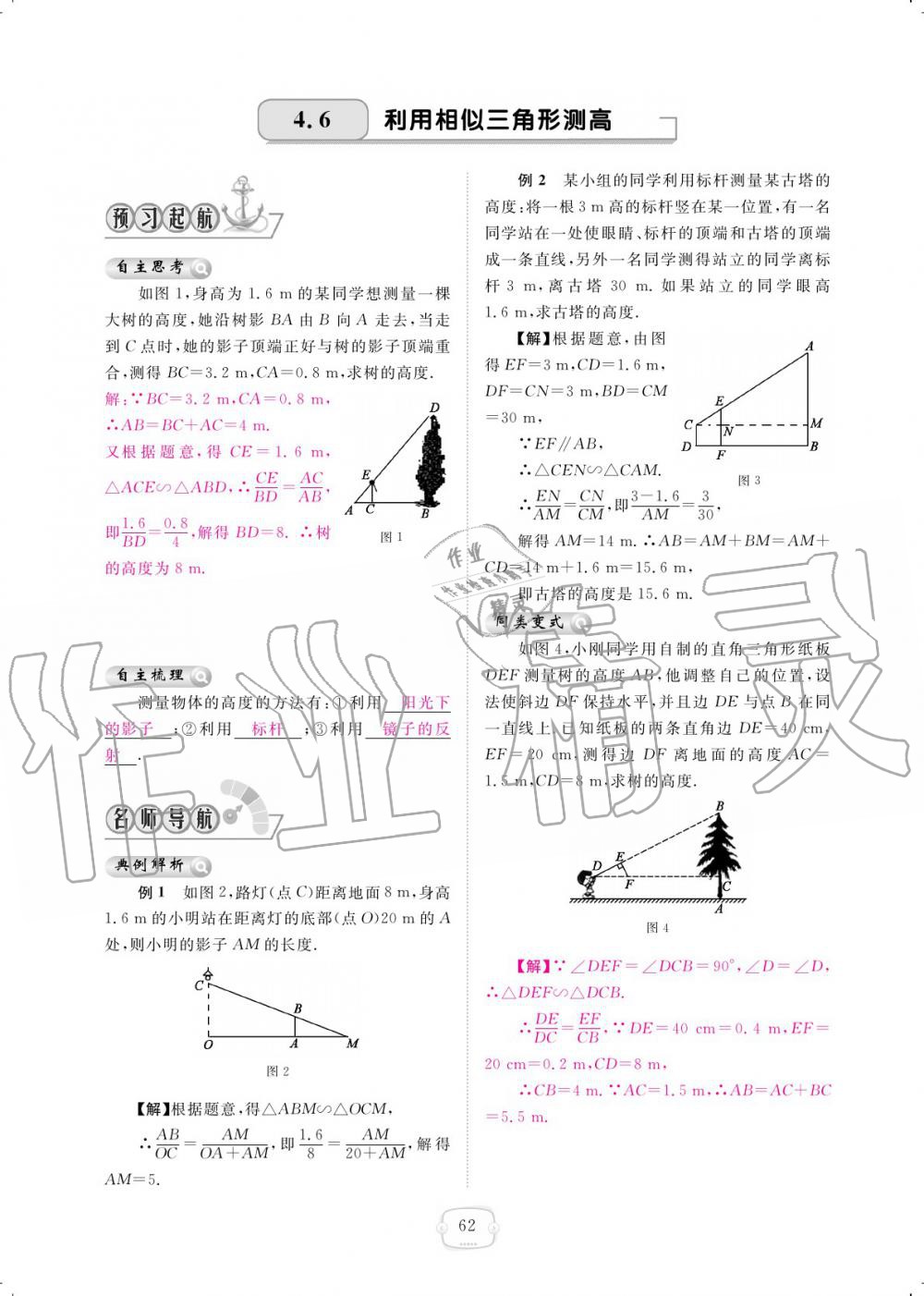 2019年領(lǐng)航新課標(biāo)練習(xí)冊九年級數(shù)學(xué)全一冊北師大版 參考答案第62頁