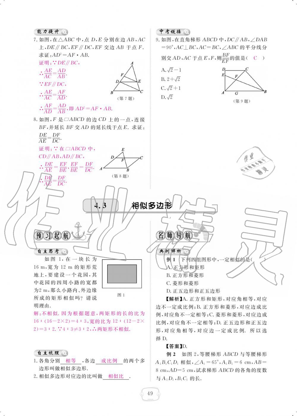 2019年領(lǐng)航新課標(biāo)練習(xí)冊(cè)九年級(jí)數(shù)學(xué)全一冊(cè)北師大版 參考答案第49頁