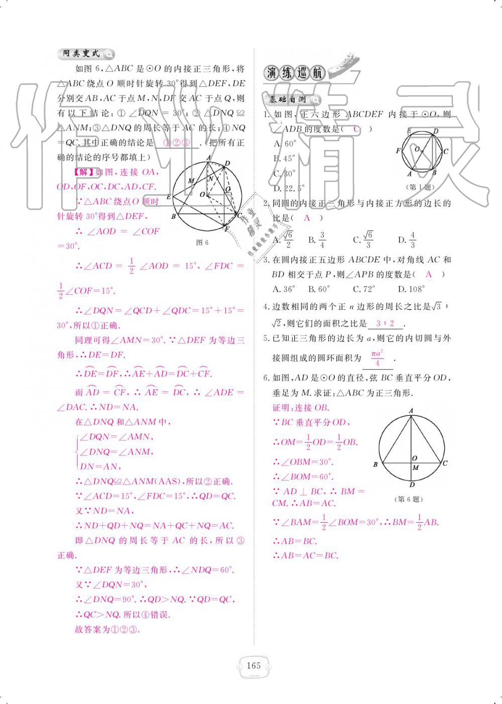 2019年領(lǐng)航新課標(biāo)練習(xí)冊(cè)九年級(jí)數(shù)學(xué)全一冊(cè)北師大版 參考答案第165頁(yè)