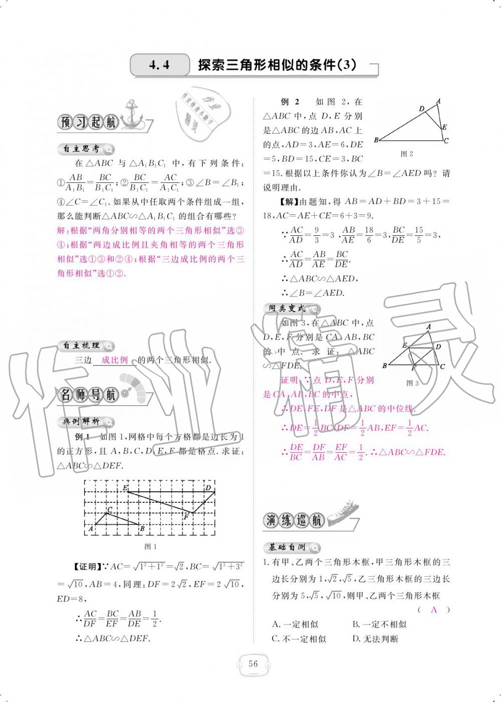 2019年領航新課標練習冊九年級數(shù)學全一冊北師大版 參考答案第56頁