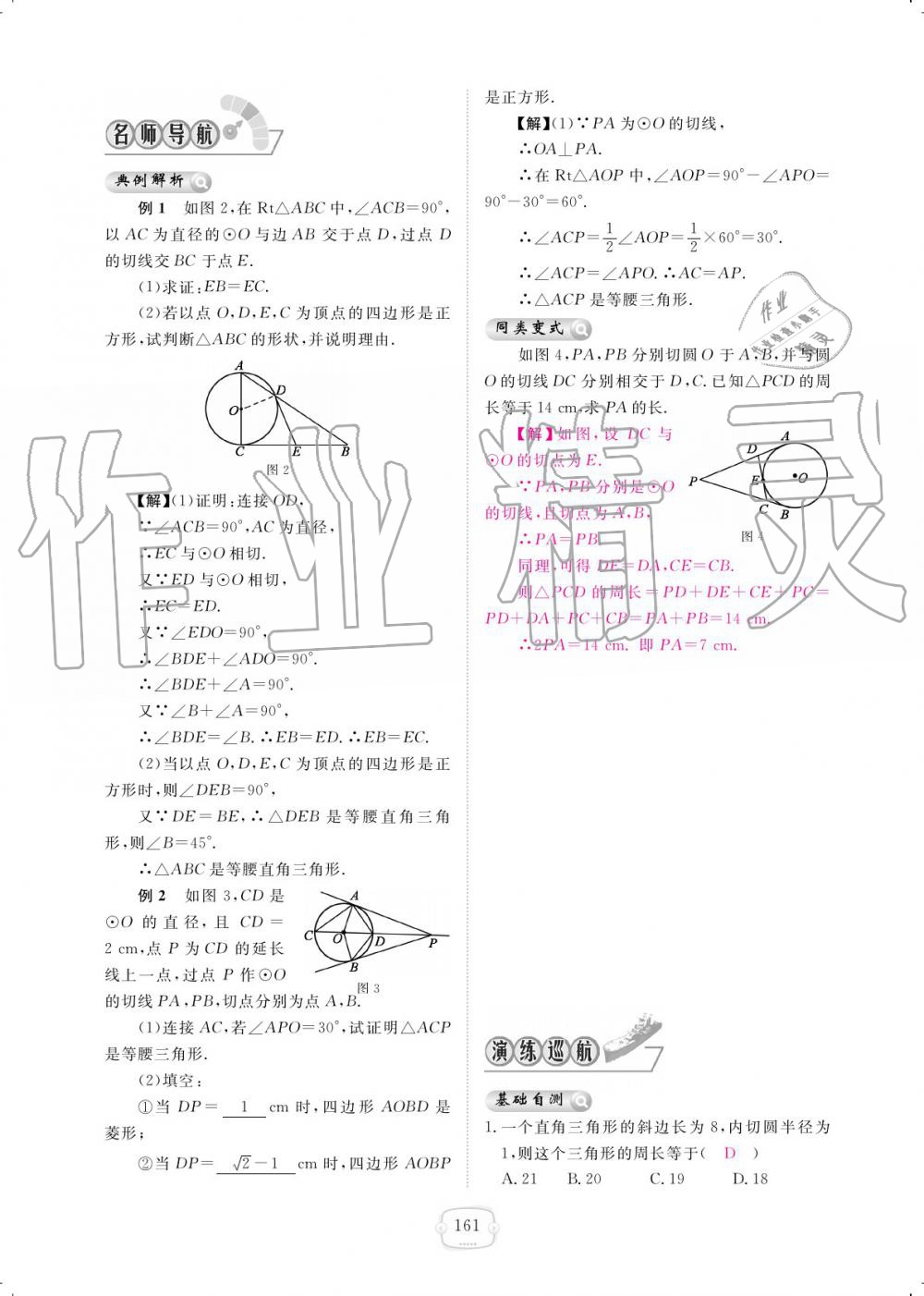 2019年領(lǐng)航新課標(biāo)練習(xí)冊九年級數(shù)學(xué)全一冊北師大版 參考答案第161頁