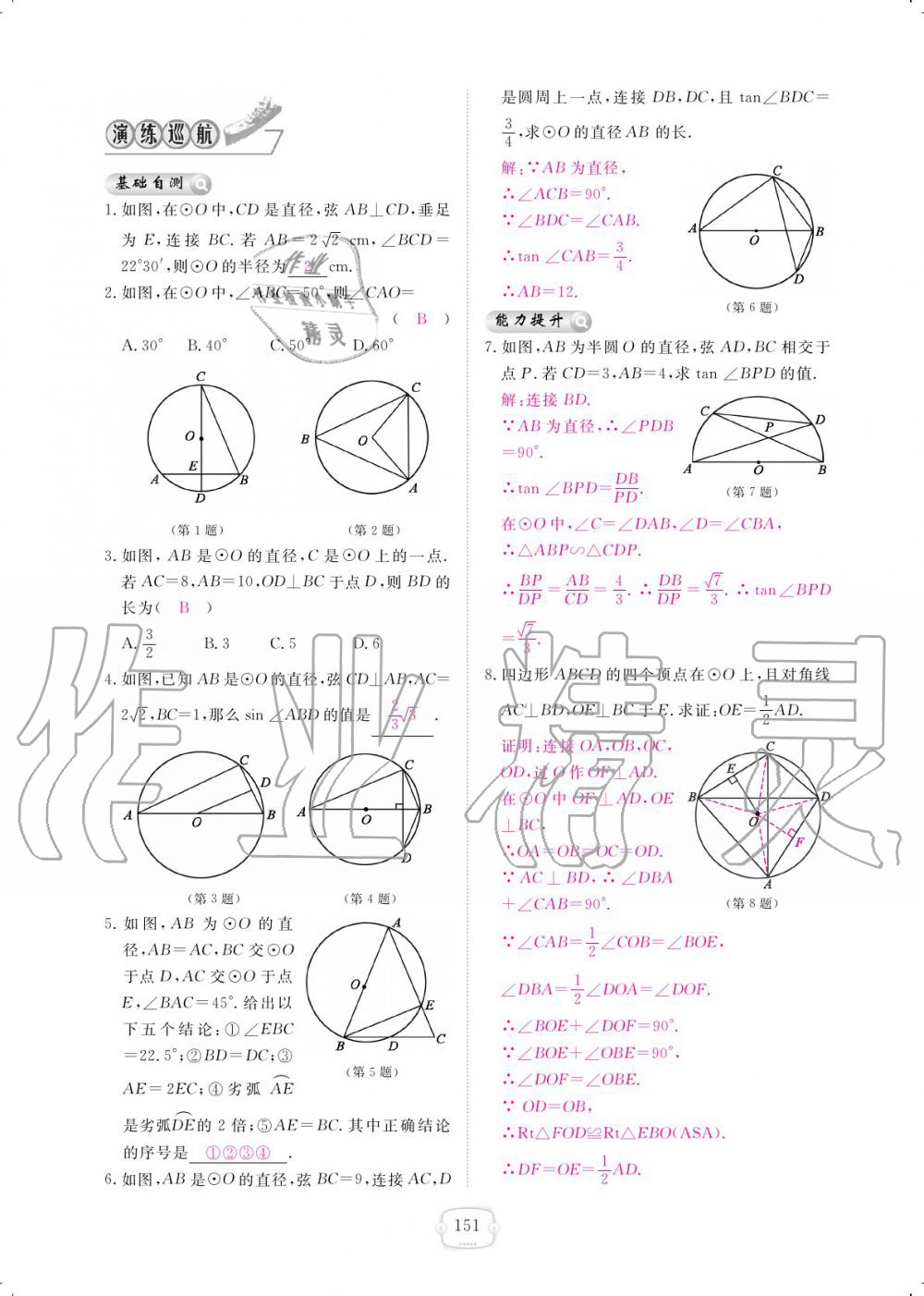 2019年領(lǐng)航新課標(biāo)練習(xí)冊九年級數(shù)學(xué)全一冊北師大版 參考答案第151頁