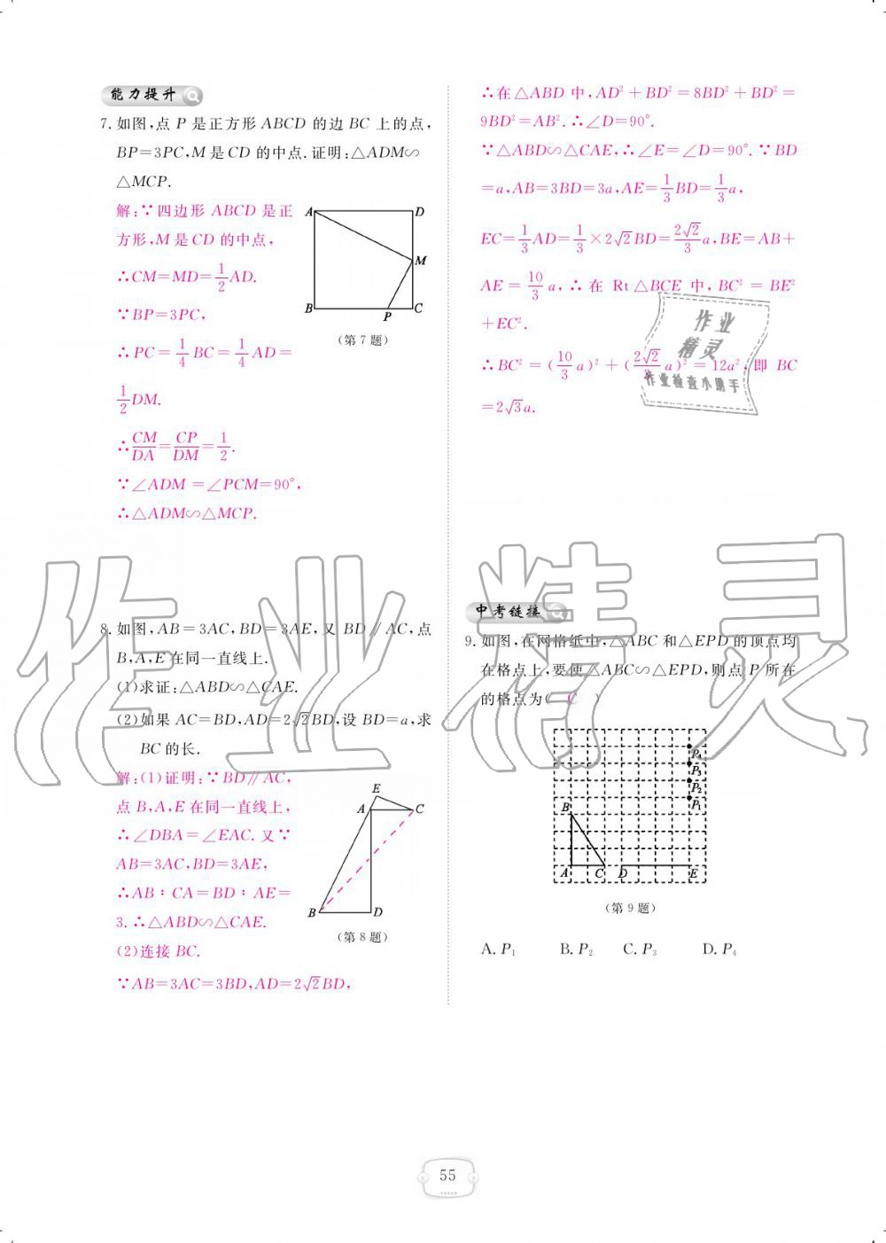 2019年領(lǐng)航新課標(biāo)練習(xí)冊九年級數(shù)學(xué)全一冊北師大版 參考答案第55頁