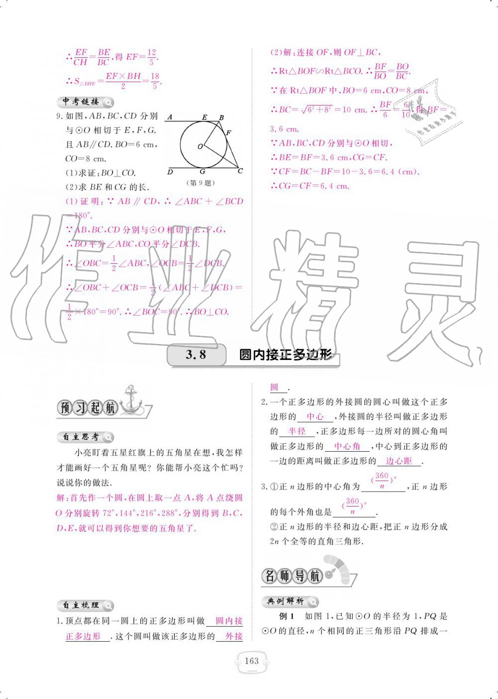 2019年領(lǐng)航新課標(biāo)練習(xí)冊(cè)九年級(jí)數(shù)學(xué)全一冊(cè)北師大版 參考答案第163頁