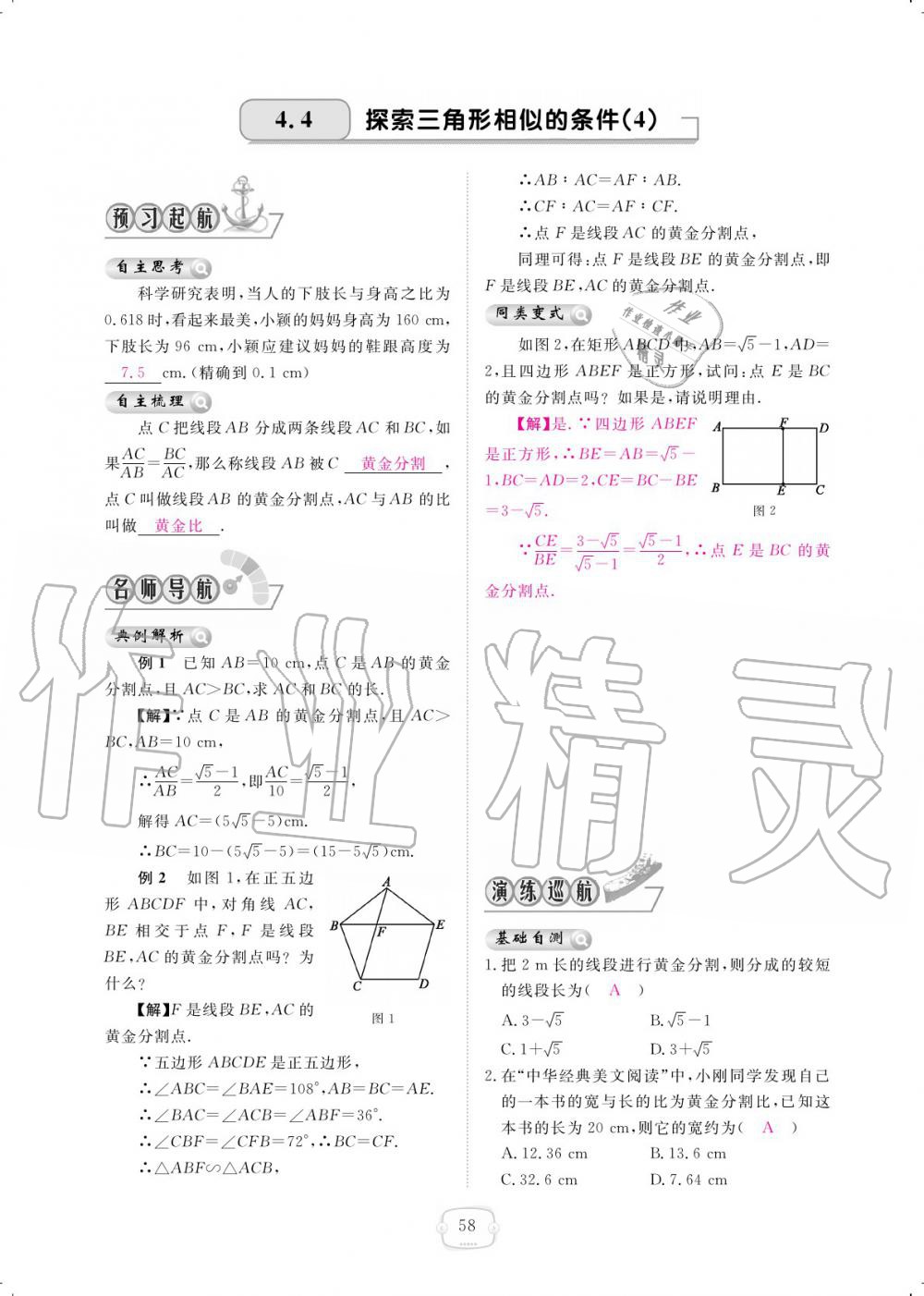 2019年領(lǐng)航新課標(biāo)練習(xí)冊(cè)九年級(jí)數(shù)學(xué)全一冊(cè)北師大版 參考答案第58頁(yè)