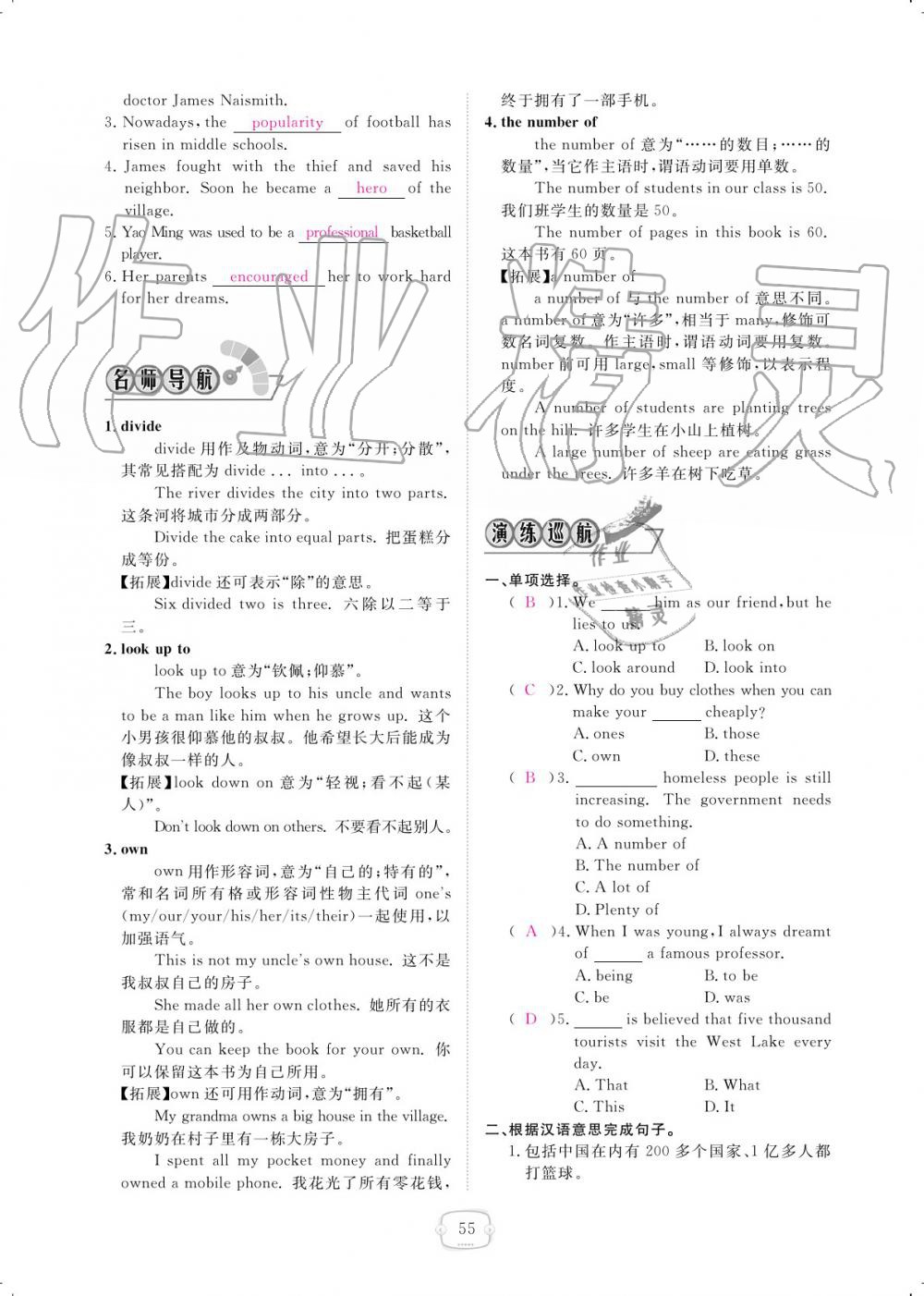 2019年領(lǐng)航新課標(biāo)練習(xí)冊九年級英語全一冊人教版 參考答案第55頁