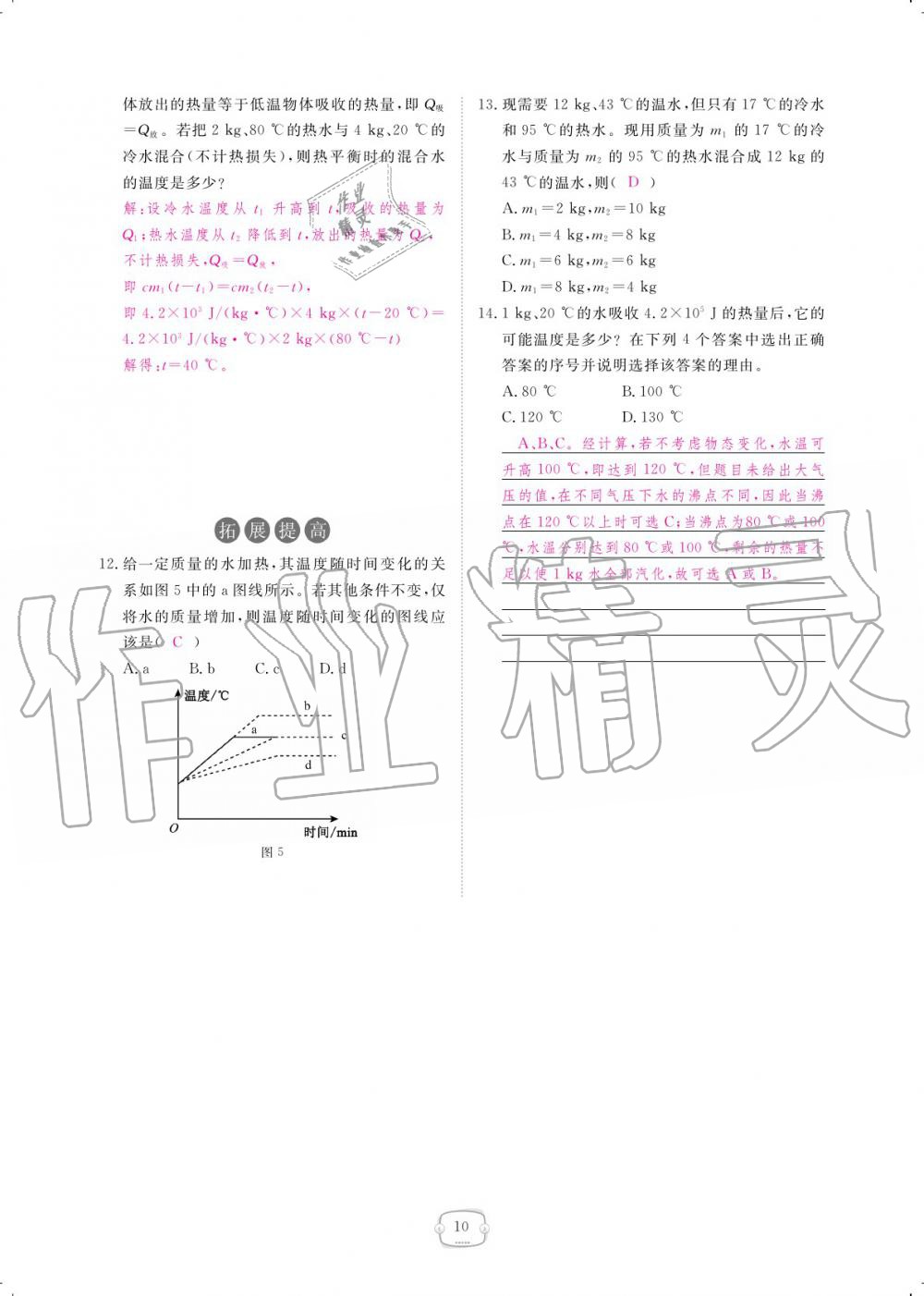 2019年領(lǐng)航新課標練習(xí)冊九年級物理全一冊人教版 參考答案第10頁