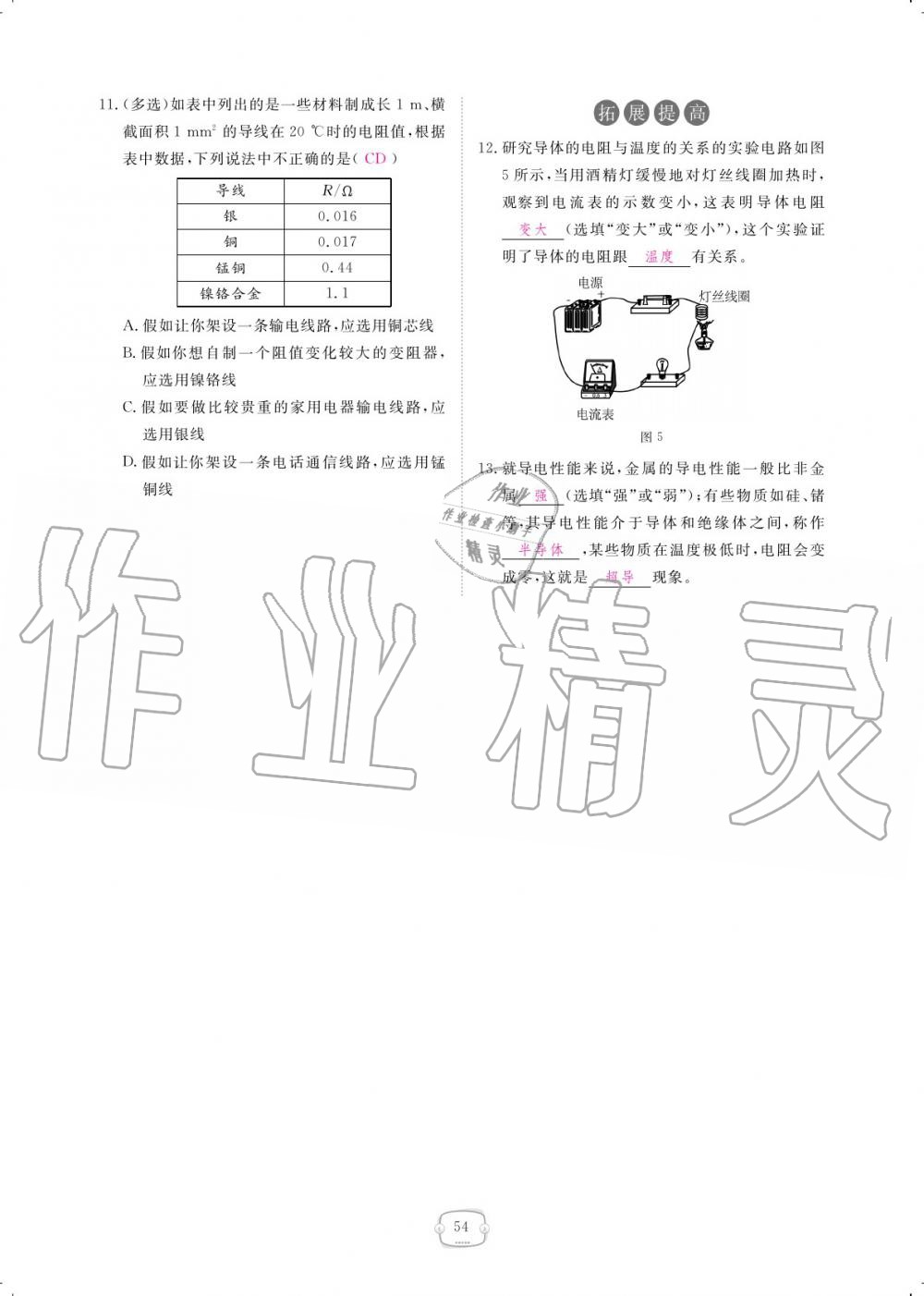 2019年領(lǐng)航新課標練習(xí)冊九年級物理全一冊人教版 參考答案第54頁