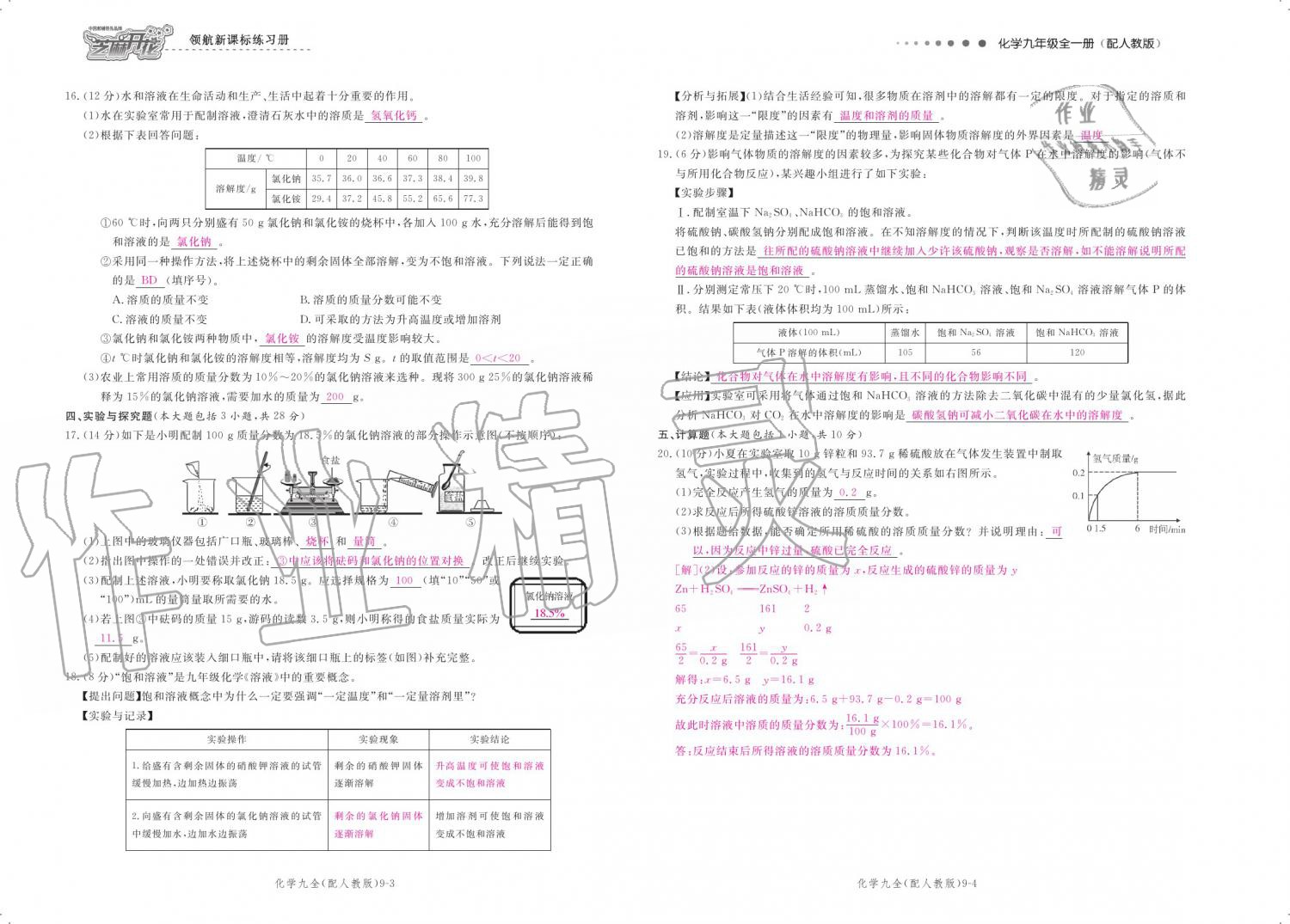 2019年領(lǐng)航新課標練習(xí)冊九年級化學(xué)全一冊人教版 參考答案第148頁