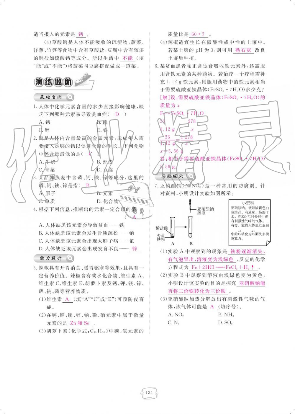 2019年領(lǐng)航新課標(biāo)練習(xí)冊(cè)九年級(jí)化學(xué)全一冊(cè)人教版 參考答案第134頁(yè)