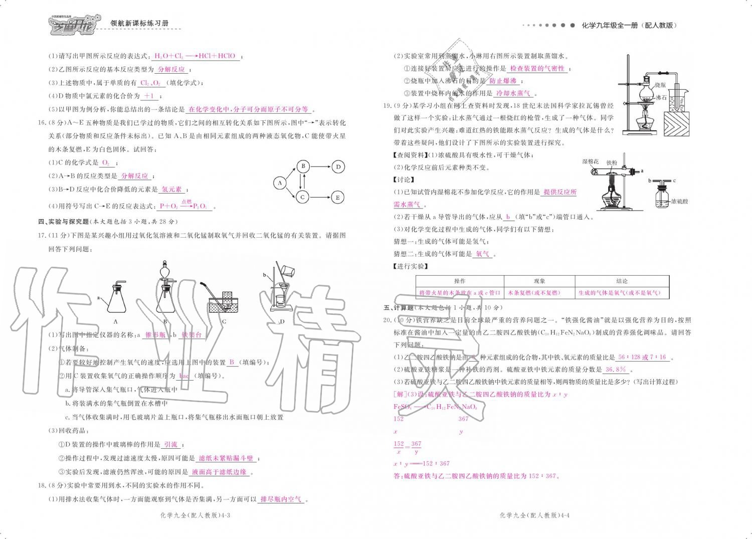 2019年領(lǐng)航新課標練習(xí)冊九年級化學(xué)全一冊人教版 參考答案第161頁