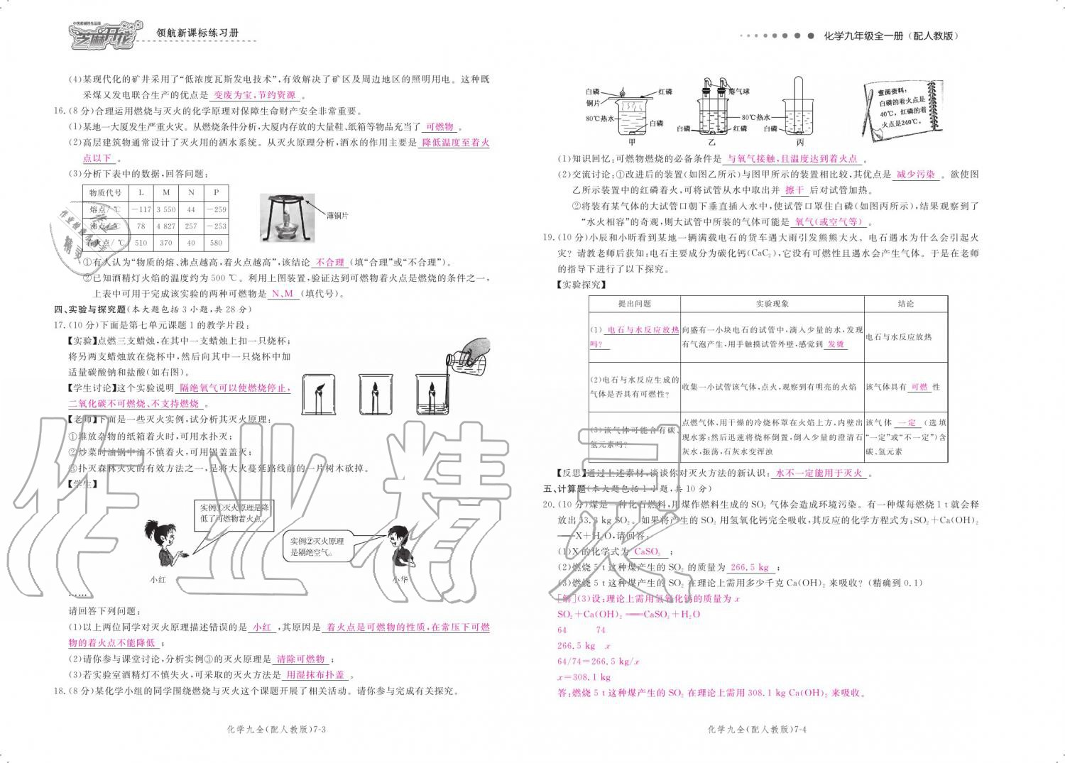 2019年領(lǐng)航新課標(biāo)練習(xí)冊(cè)九年級(jí)化學(xué)全一冊(cè)人教版 參考答案第144頁(yè)