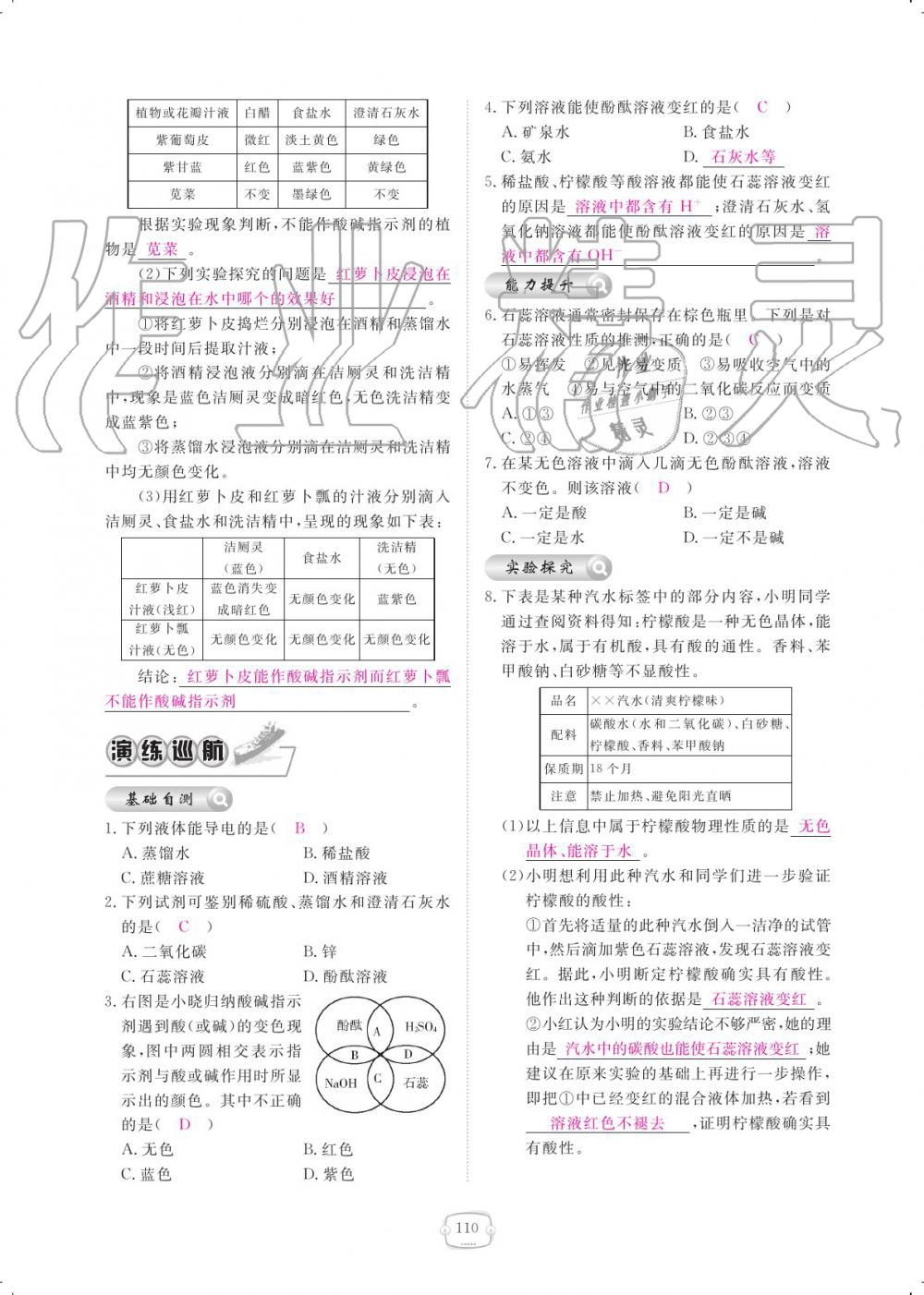 2019年領(lǐng)航新課標(biāo)練習(xí)冊(cè)九年級(jí)化學(xué)全一冊(cè)人教版 參考答案第110頁(yè)