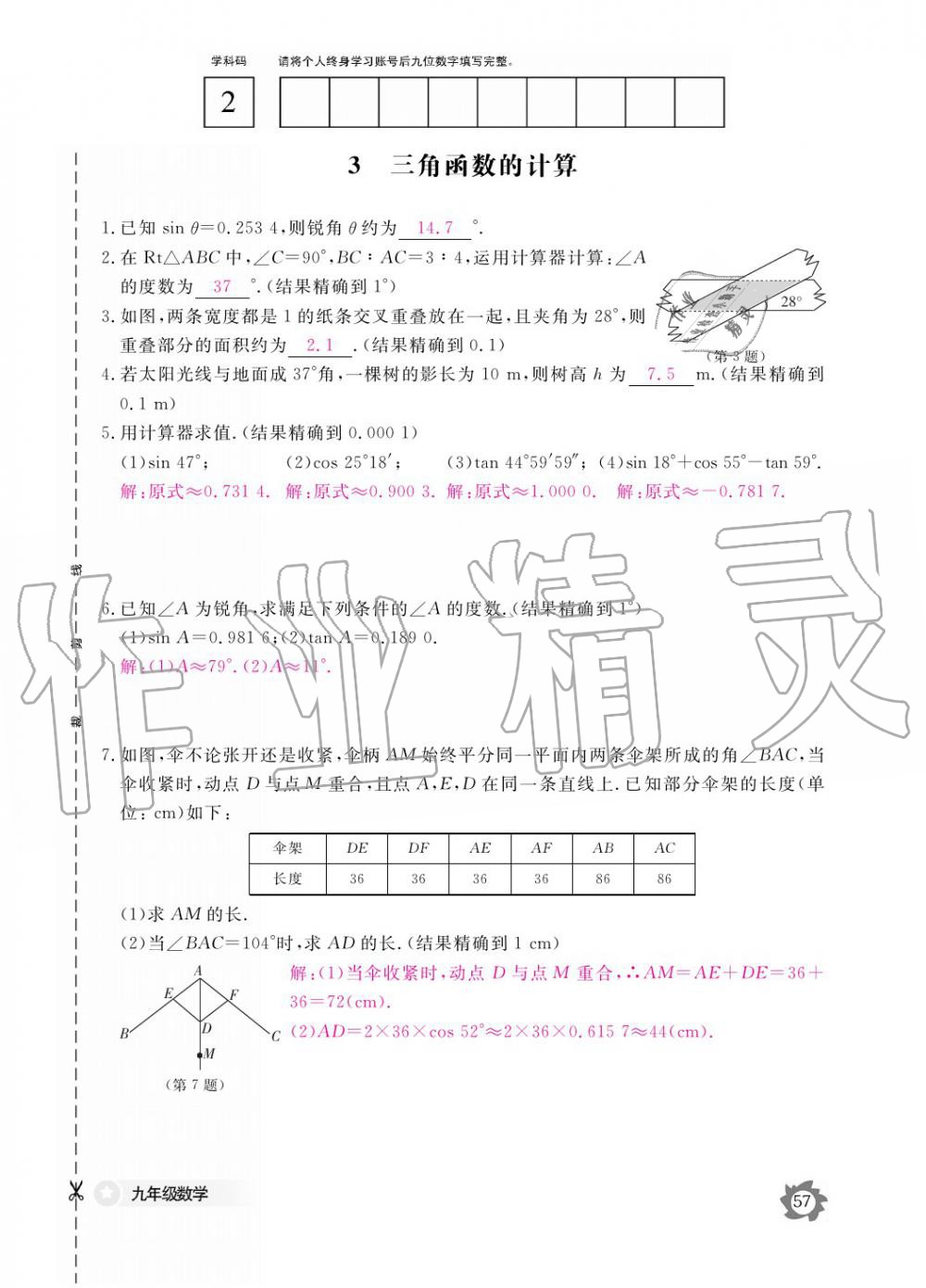 2019年數(shù)學作業(yè)本九年級全一冊北師大版 參考答案第57頁