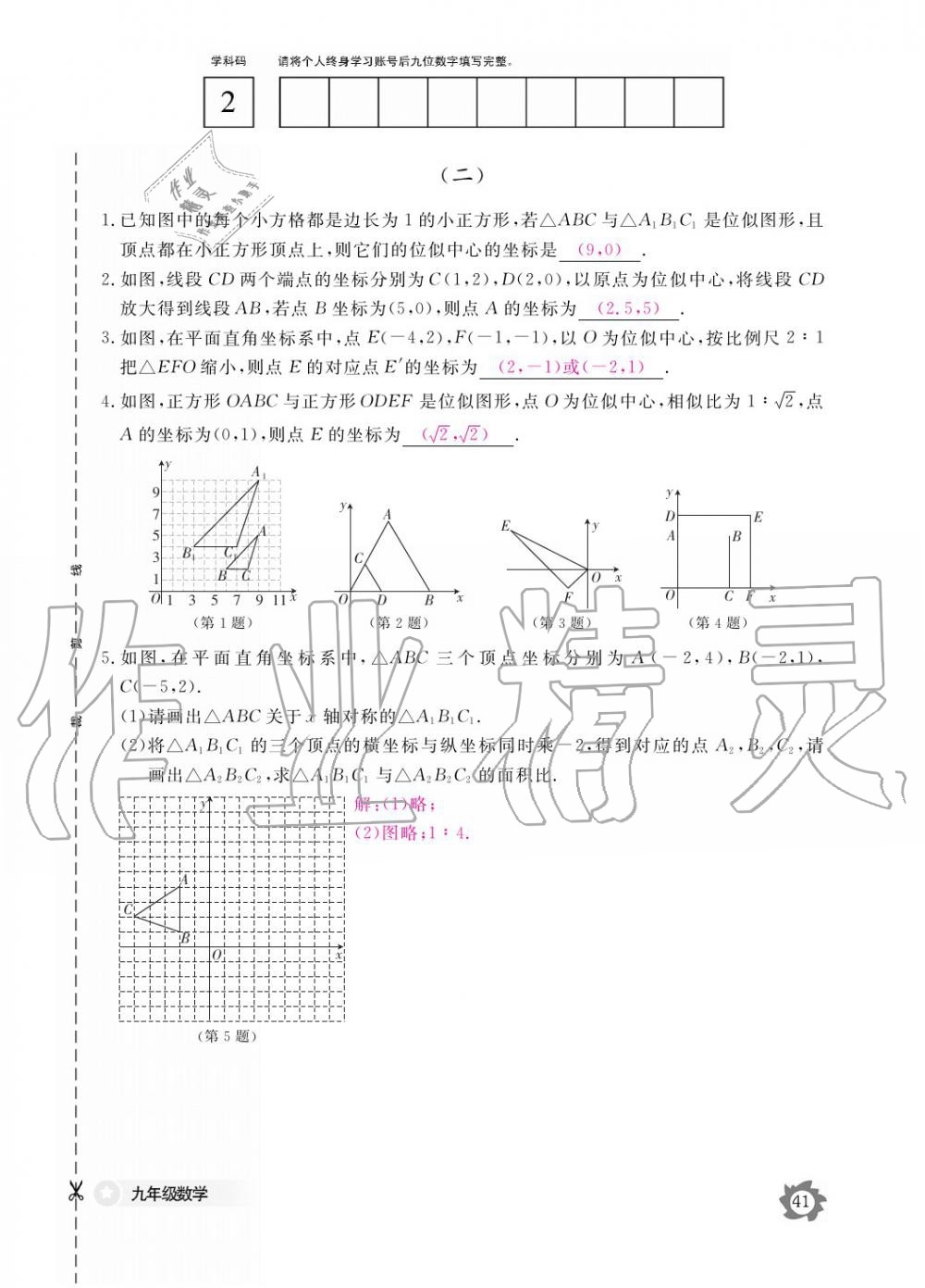 2019年數(shù)學作業(yè)本九年級全一冊北師大版 參考答案第41頁