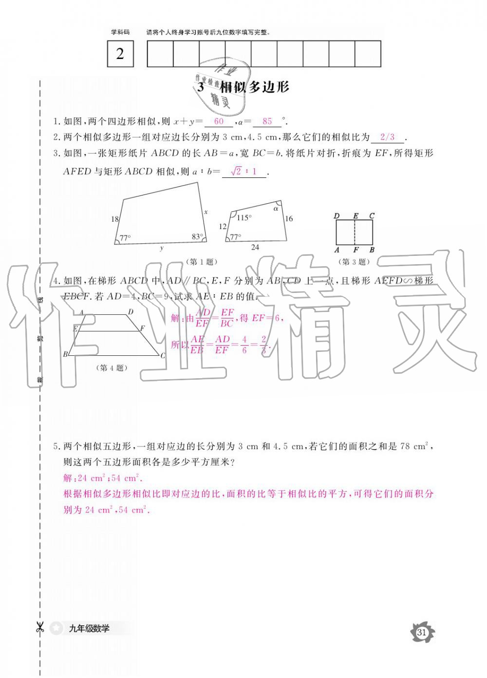 2019年數(shù)學作業(yè)本九年級全一冊北師大版 參考答案第31頁