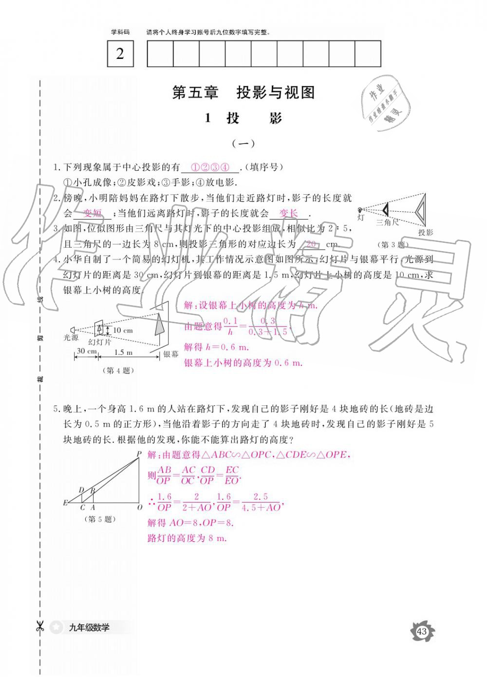 2019年數(shù)學(xué)作業(yè)本九年級全一冊北師大版 參考答案第43頁