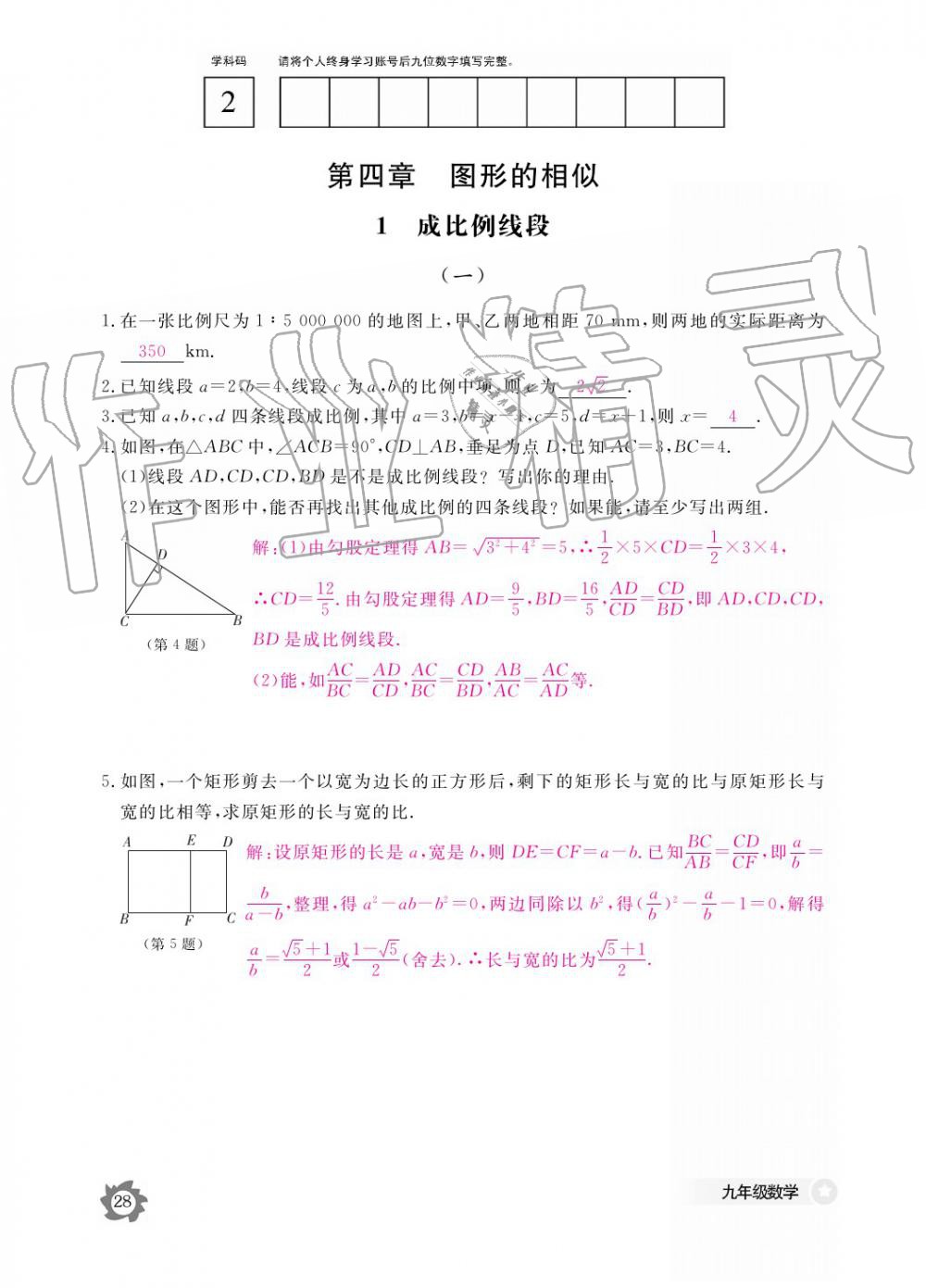 2019年數(shù)學(xué)作業(yè)本九年級全一冊北師大版 參考答案第28頁