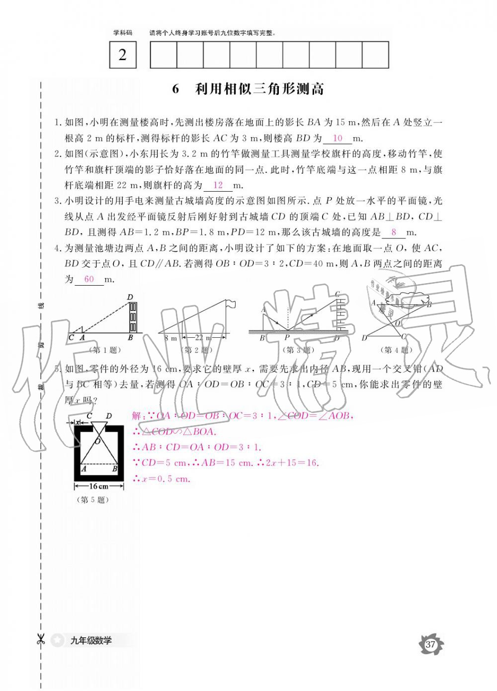 2019年數(shù)學作業(yè)本九年級全一冊北師大版 參考答案第37頁