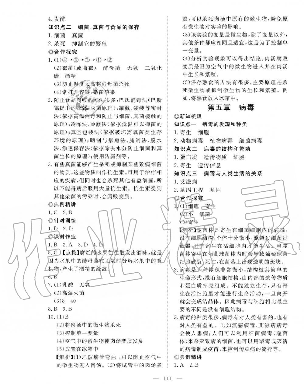 2019年351高效課堂導(dǎo)學(xué)案八年級生物上冊人教版 第11頁