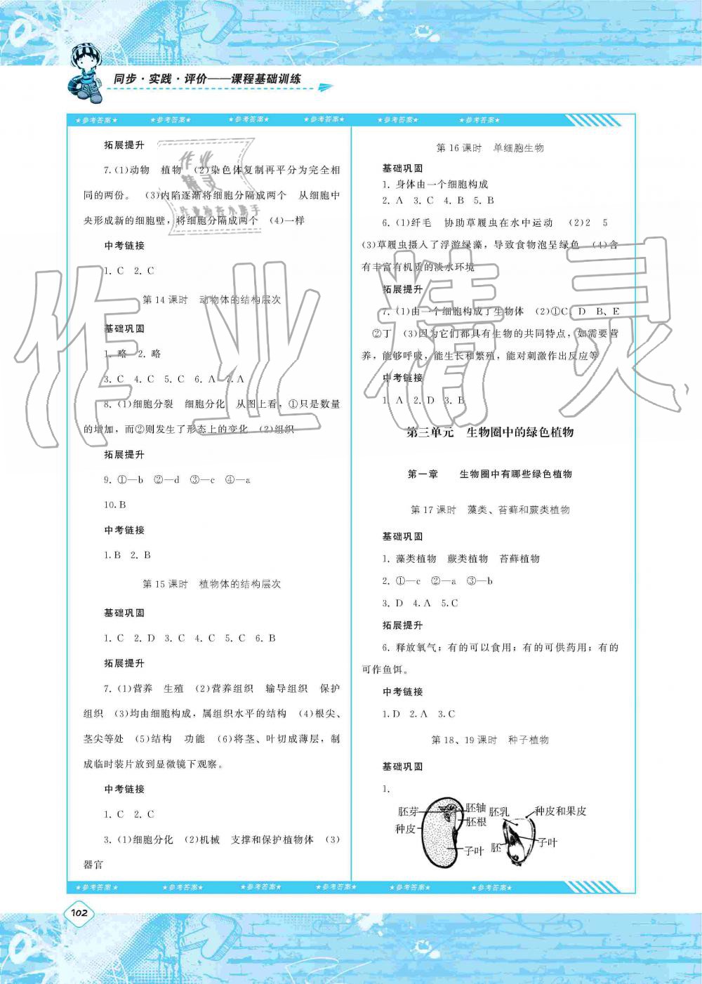 2019年課程基礎(chǔ)訓(xùn)練七年級生物上冊湖南少年兒童出版社 第4頁