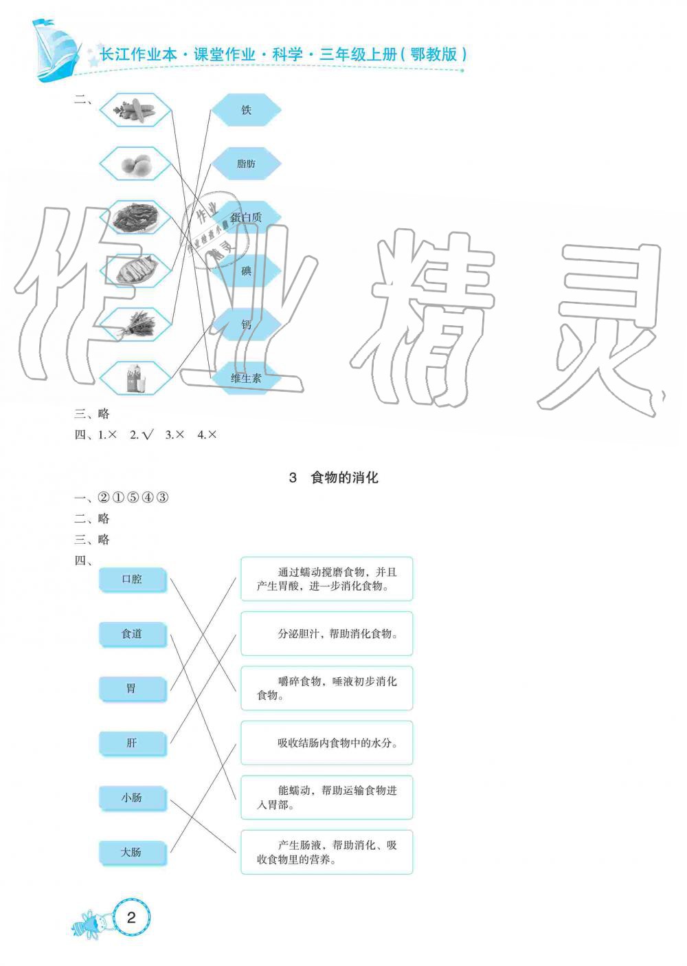 2019年長(zhǎng)江作業(yè)本課堂作業(yè)三年級(jí)科學(xué)上冊(cè)鄂教版 第2頁