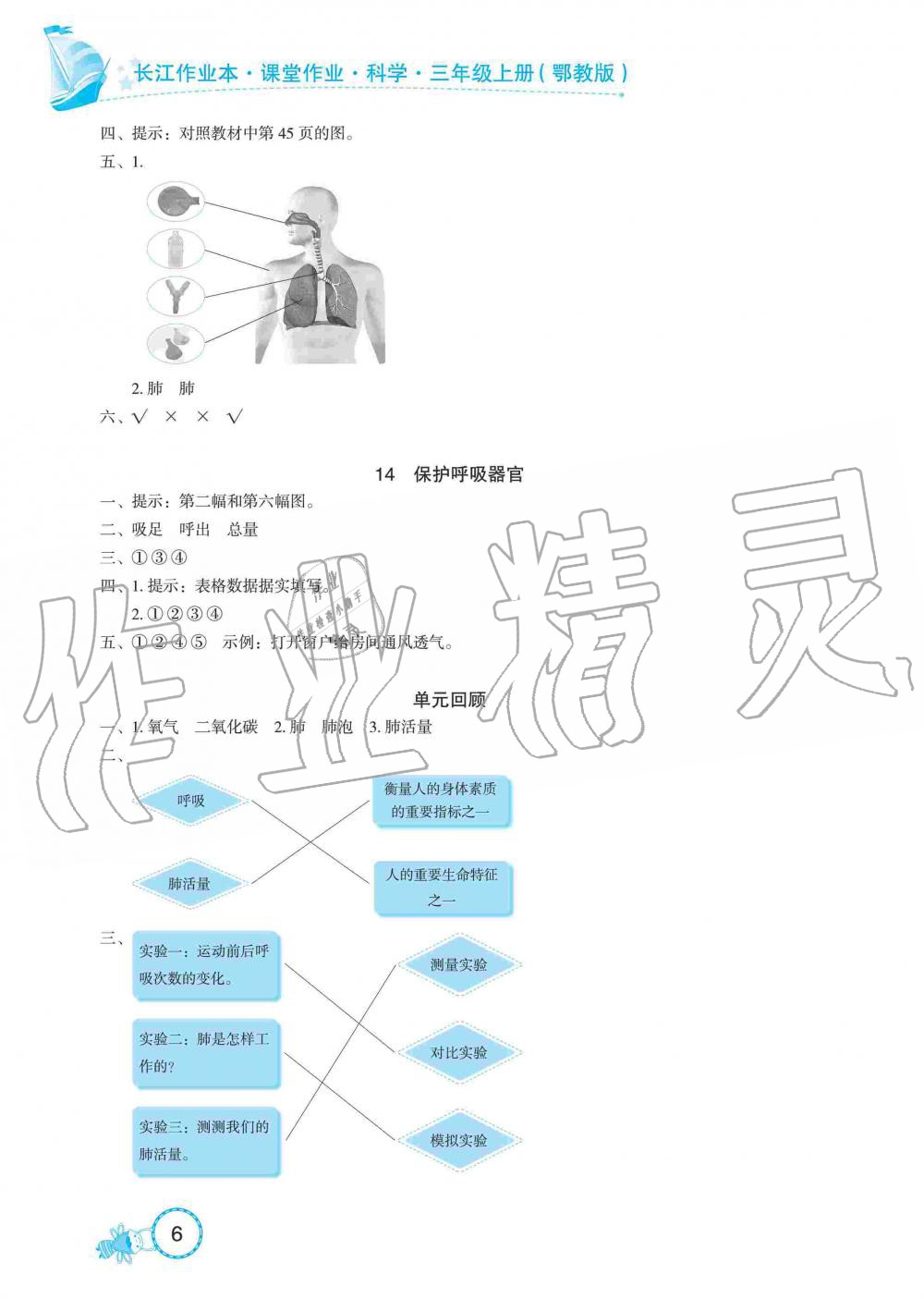 2019年長(zhǎng)江作業(yè)本課堂作業(yè)三年級(jí)科學(xué)上冊(cè)鄂教版 第6頁