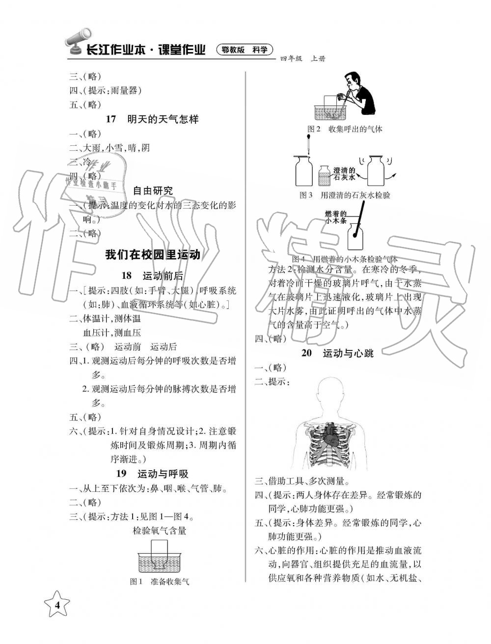 2019年長(zhǎng)江作業(yè)本課堂作業(yè)四年級(jí)科學(xué)上冊(cè)鄂教版 第4頁