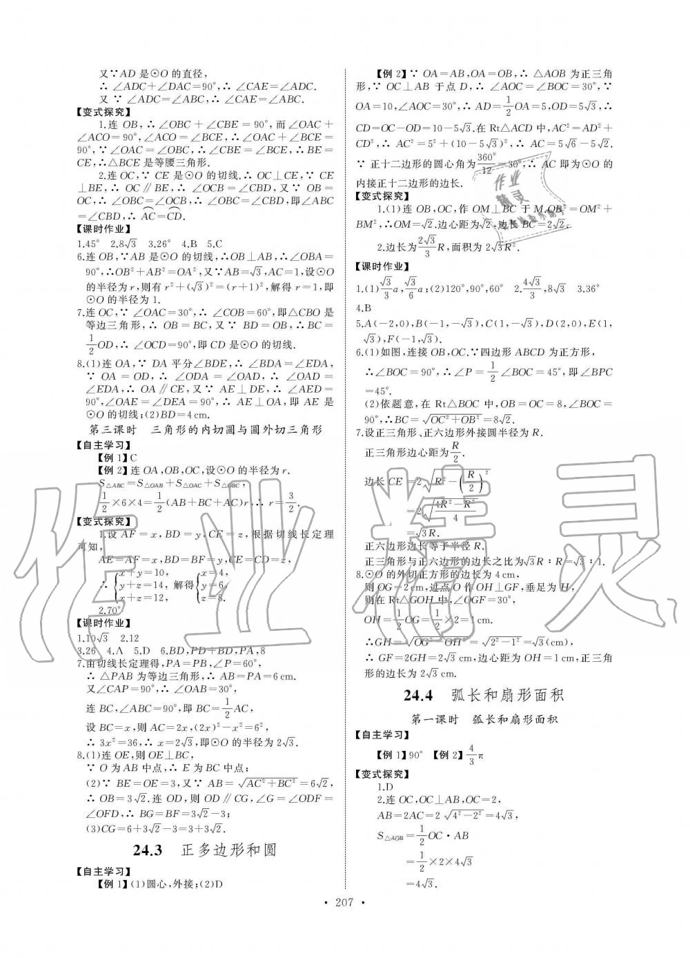 2019年长江全能学案同步练习册九年级数学全一册人教版 第13页