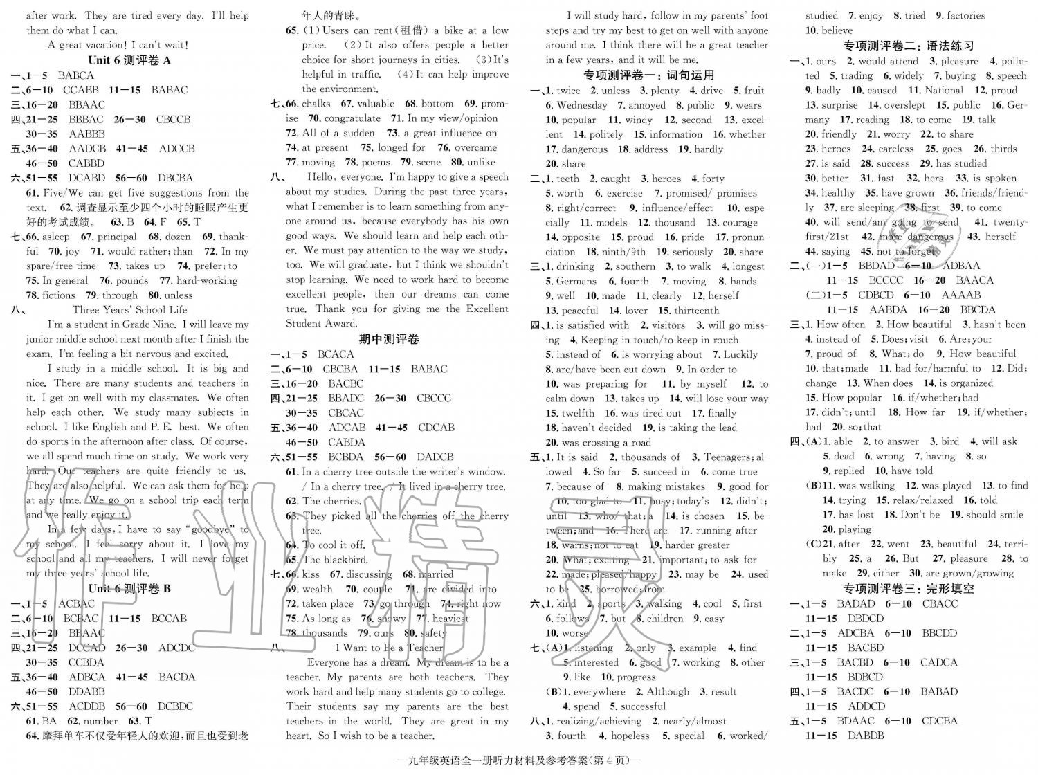 2019年学业评价测试卷九年级英语全一册仁爱版 第4页