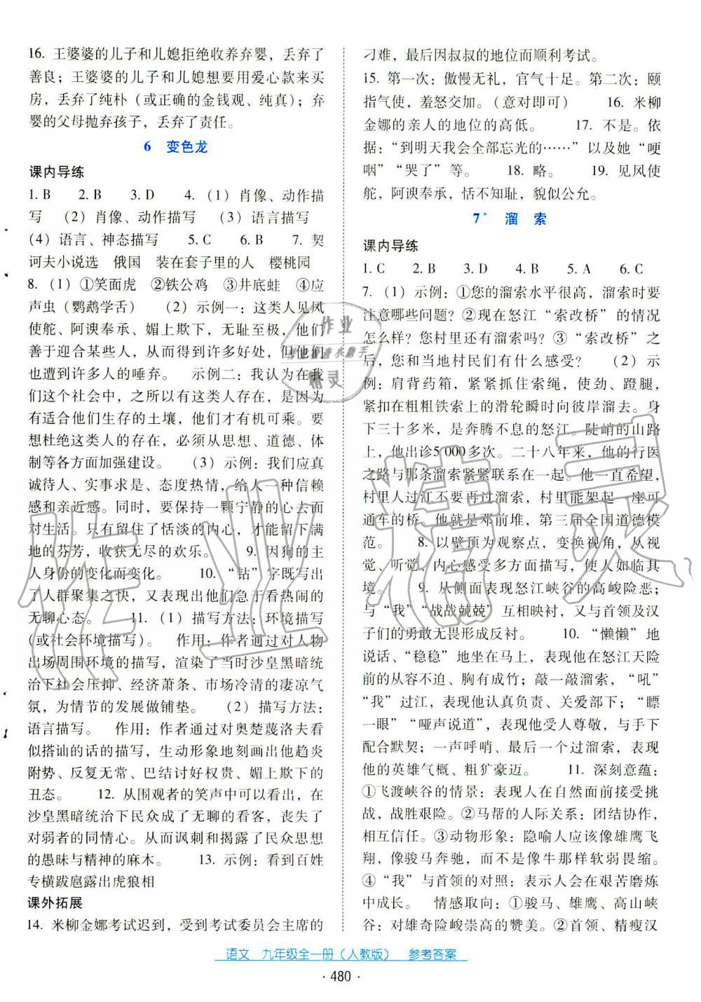 2019秋云南省標準教輔優(yōu)佳學(xué)案九年級語文全一冊人教版 第13頁