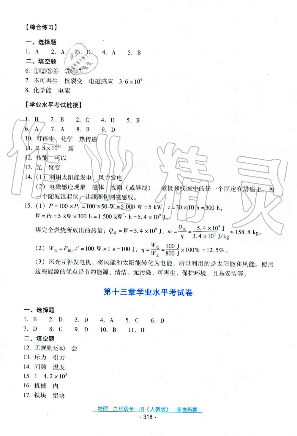 2019年云南省標(biāo)準(zhǔn)教輔優(yōu)佳學(xué)案九年級物理全一冊人教版 第1頁