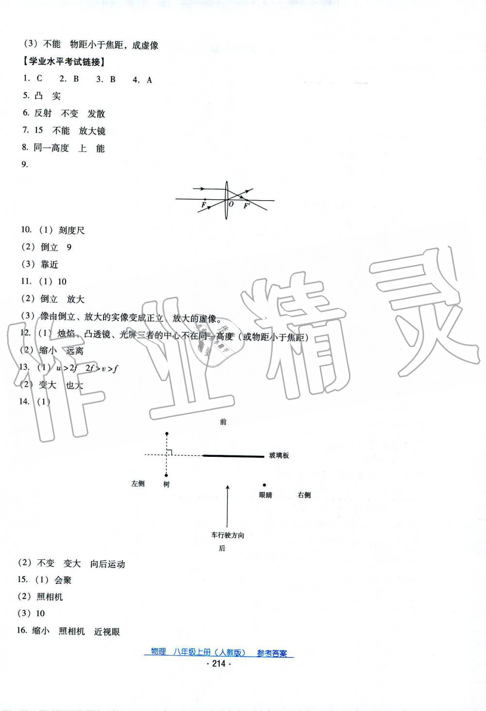 2019秋云南省標(biāo)準(zhǔn)教輔優(yōu)佳學(xué)案物理八年級上冊_答案人教版 第19頁