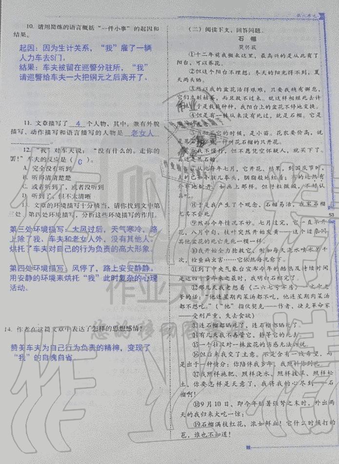 2019年云南省標準教輔優(yōu)佳學案七年級語文人教版 第65頁