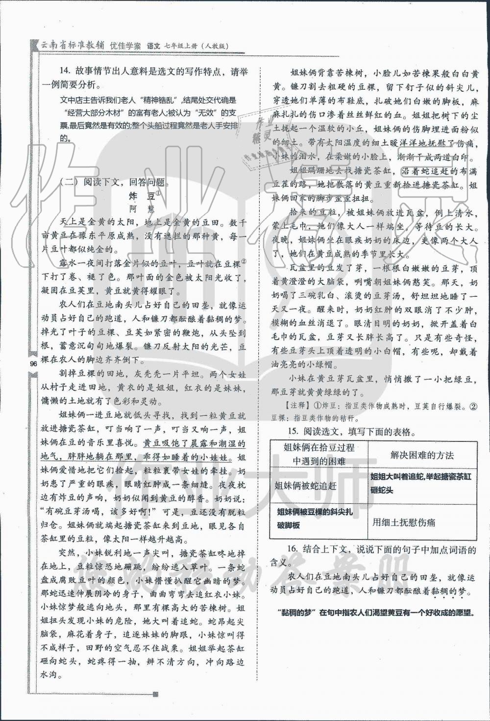 2019年云南省标准教辅优佳学案七年级语文人教版 第225页