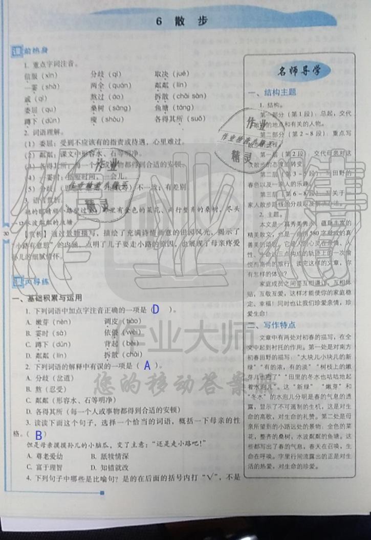 2019年云南省标准教辅优佳学案七年级语文人教版 第41页