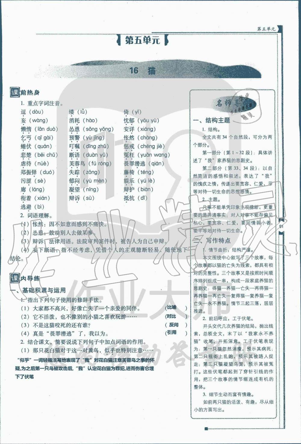 2019年云南省標準教輔優(yōu)佳學案七年級語文人教版 第219頁