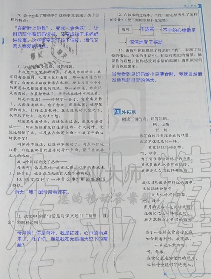 2019年云南省标准教辅优佳学案七年级语文人教版 第51页