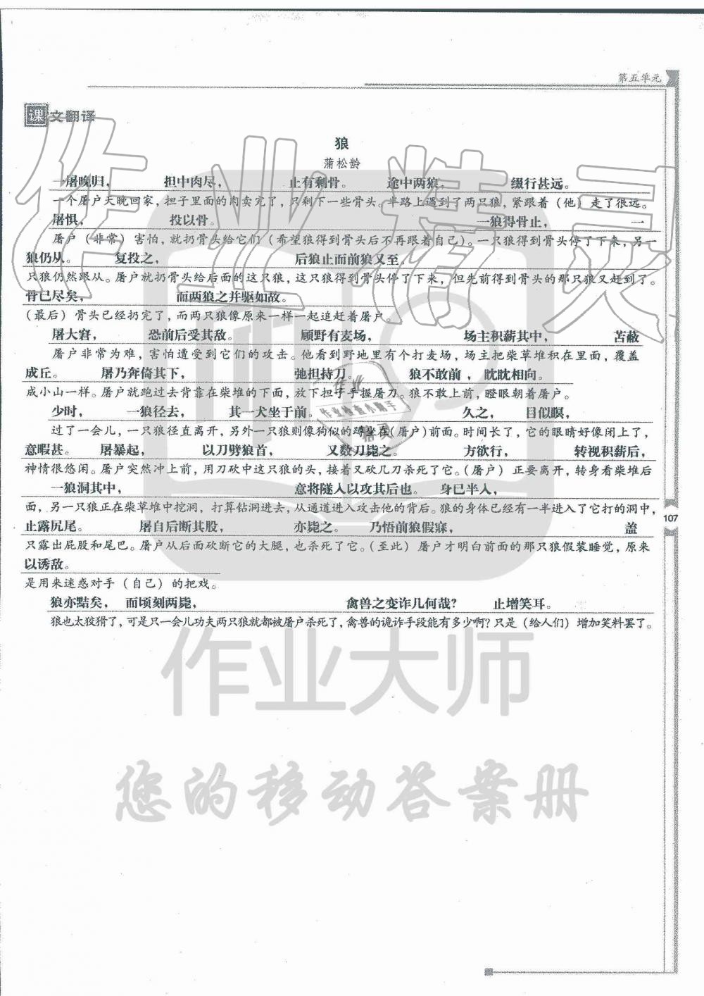 2019年云南省标准教辅优佳学案七年级语文人教版 第237页