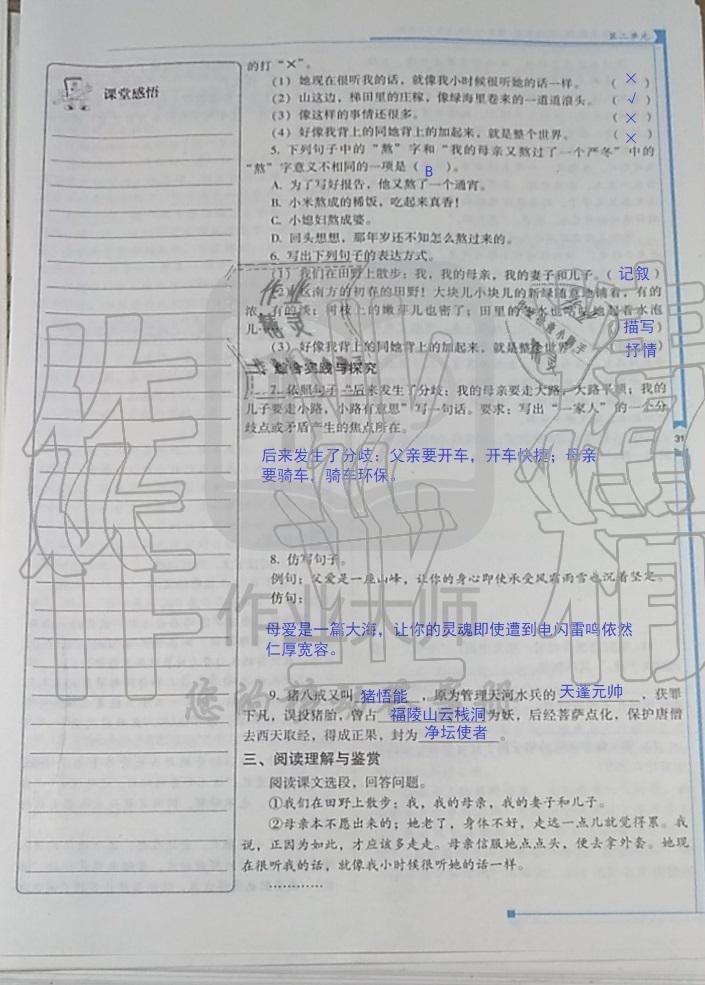 2019年云南省标准教辅优佳学案七年级语文人教版 第2页