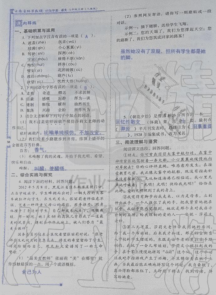 2019年云南省標準教輔優(yōu)佳學案七年級語文人教版 第181頁