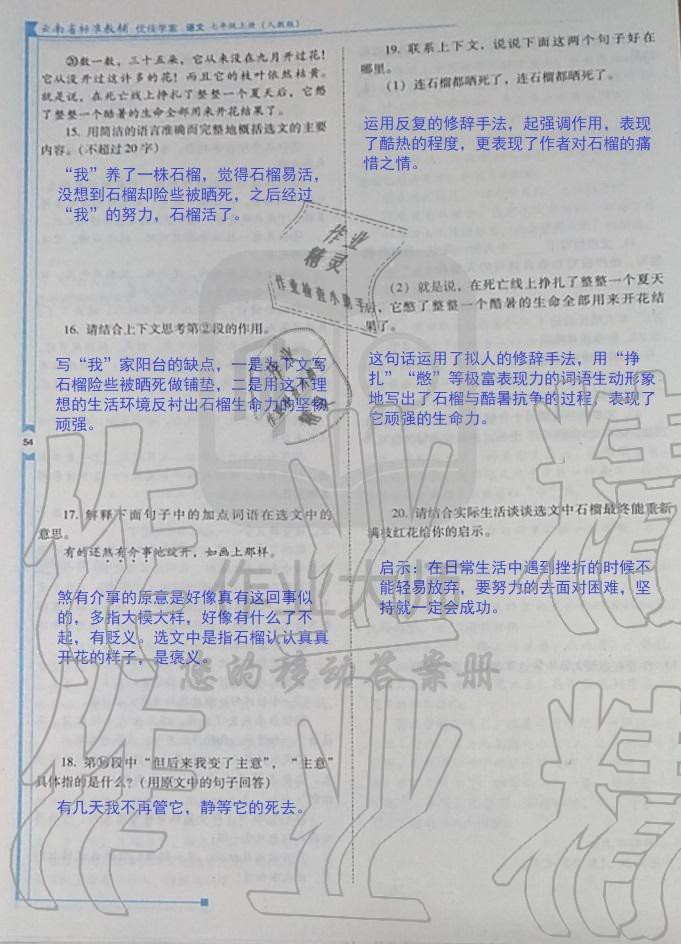 2019年云南省标准教辅优佳学案七年级语文人教版 第179页