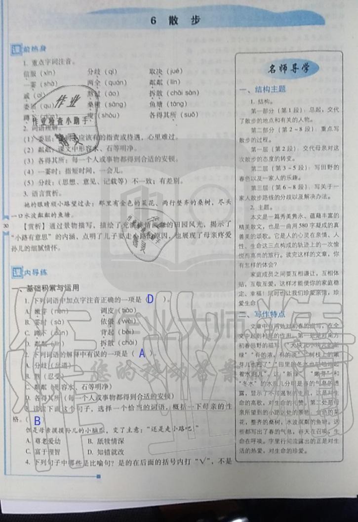 2019年云南省标准教辅优佳学案七年级语文人教版 第242页