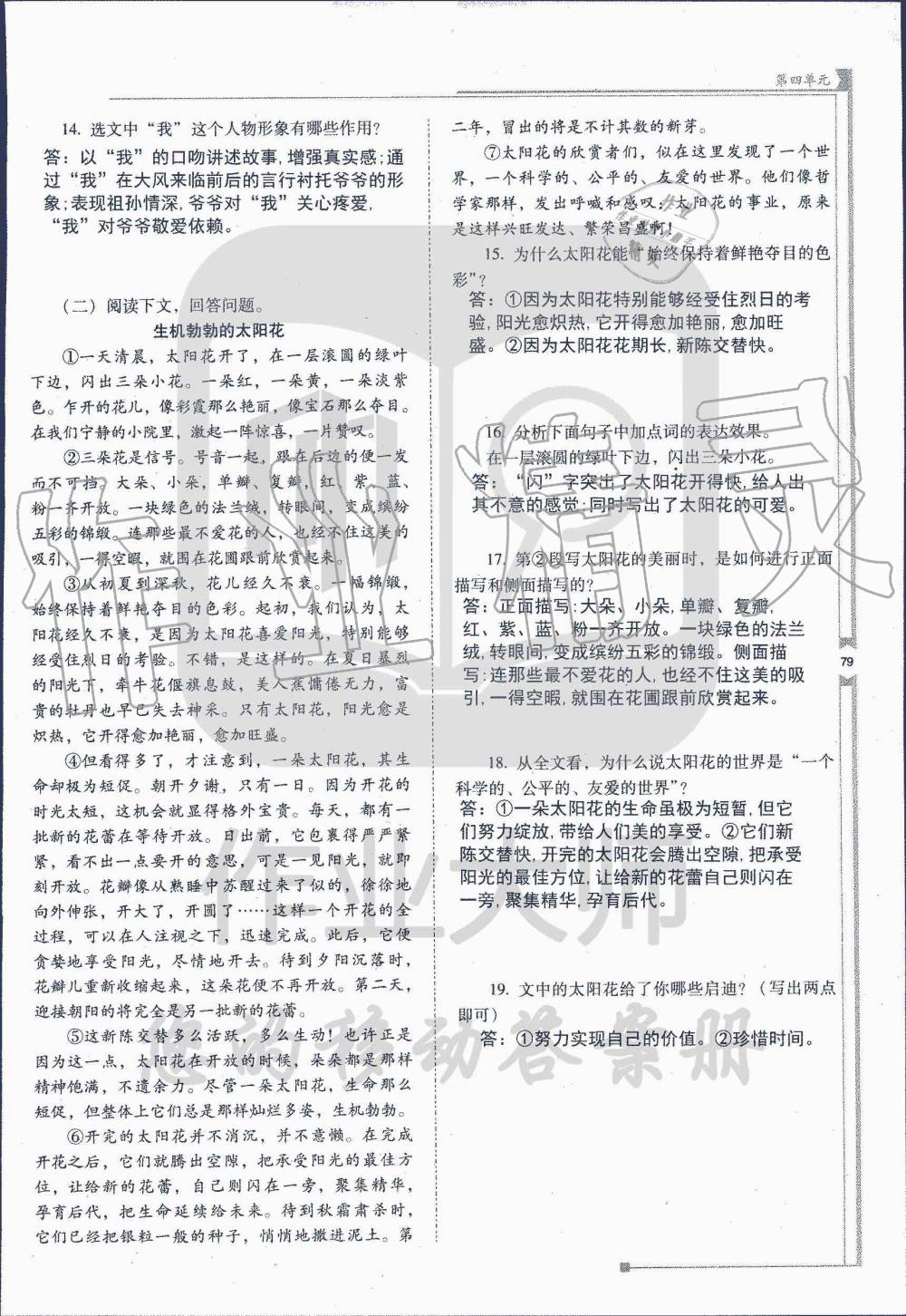 2019年云南省标准教辅优佳学案七年级语文人教版 第206页