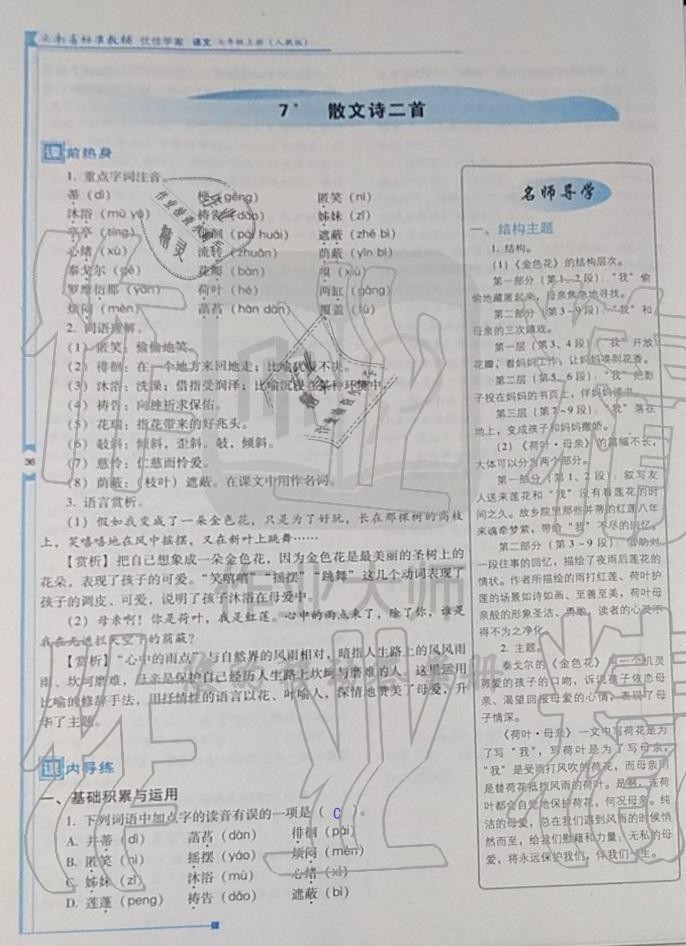 2019年云南省标准教辅优佳学案七年级语文人教版 第48页