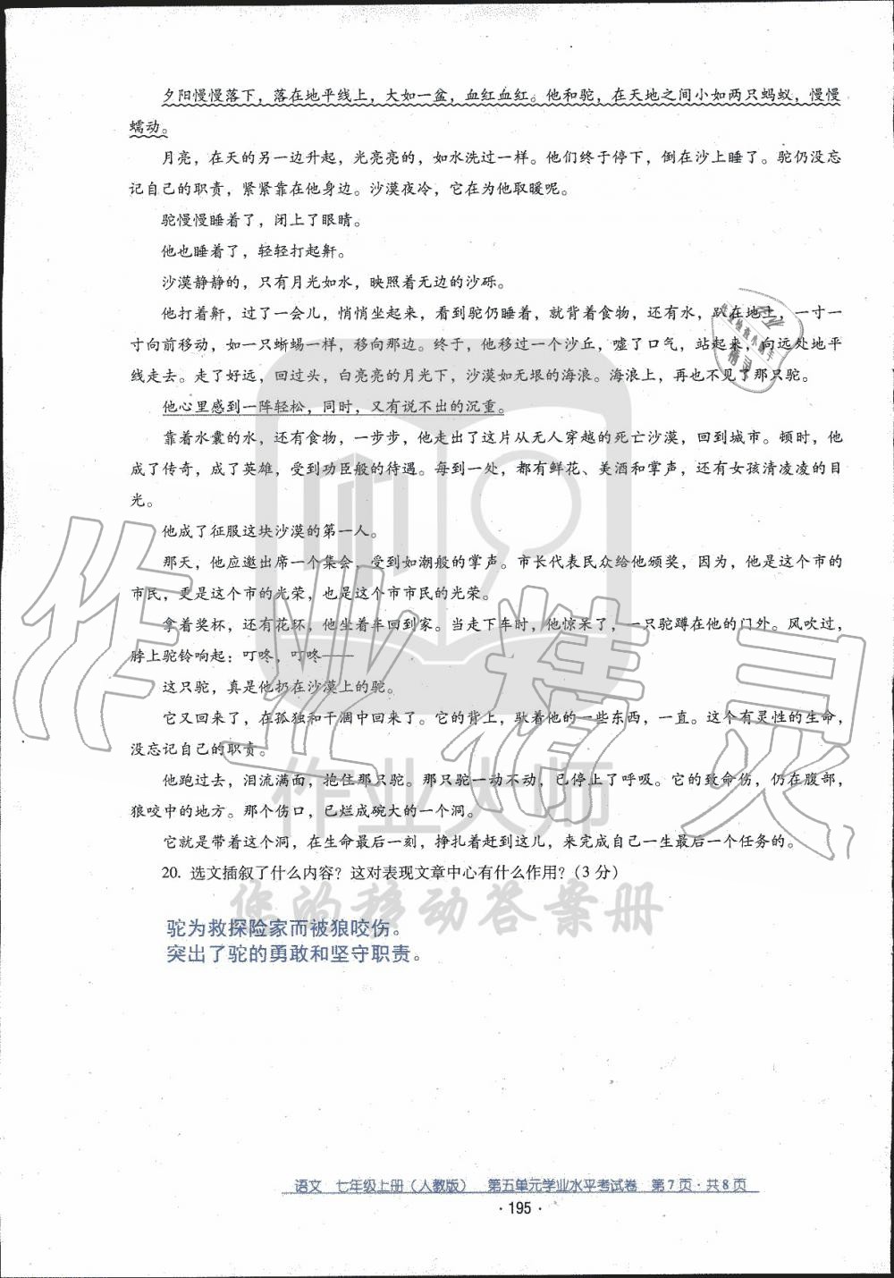 2019年云南省标准教辅优佳学案七年级语文人教版 第41页