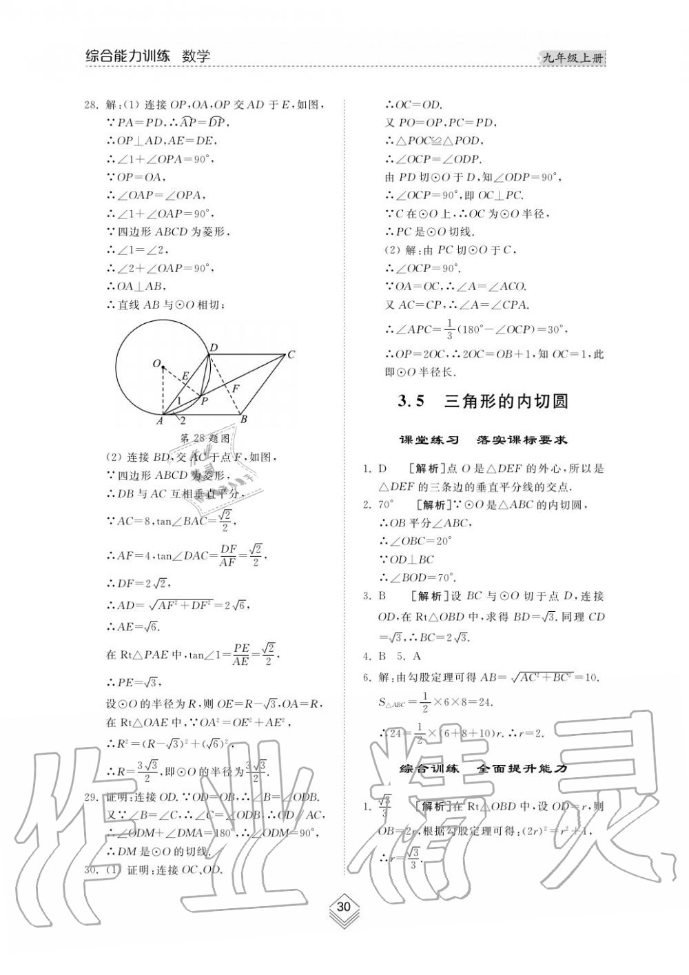 2019年综合能力训练九年级数学上册其它 第29页